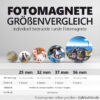 Fotomagnete Vergleich der Größen: von klein bis groß